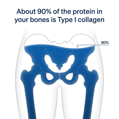 BoneFrame™ Type I Collagen Peptides for Bone Loss